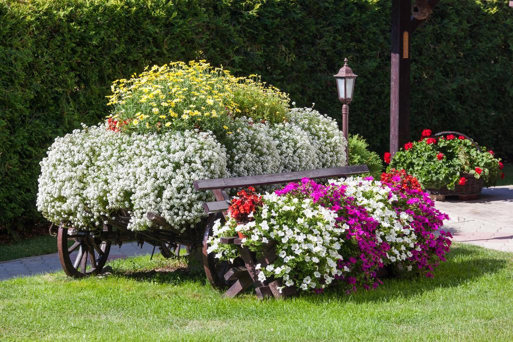 Vila Aleksandra Zlatibor Luaran gambar
